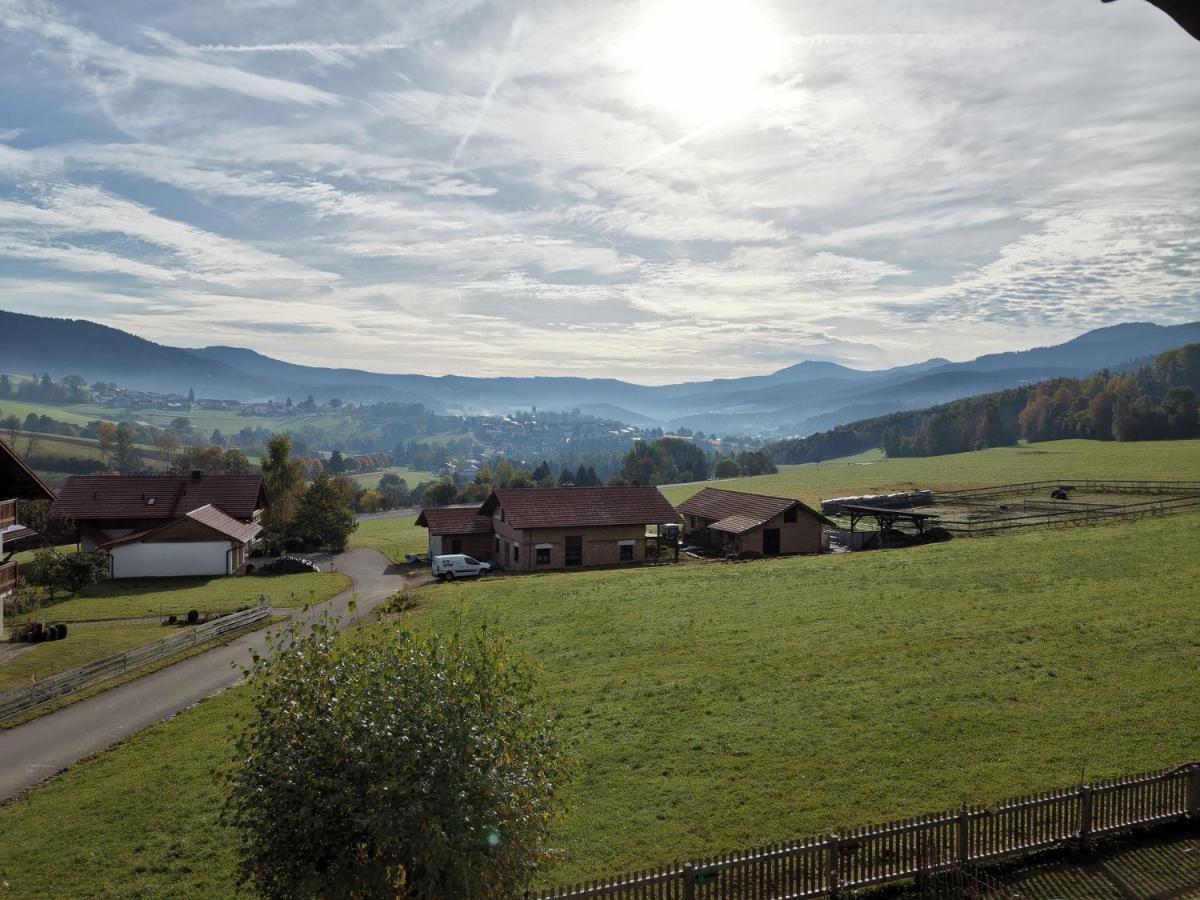 Pension Engelshutt Esterno foto